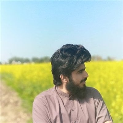 Ameer Hamza
