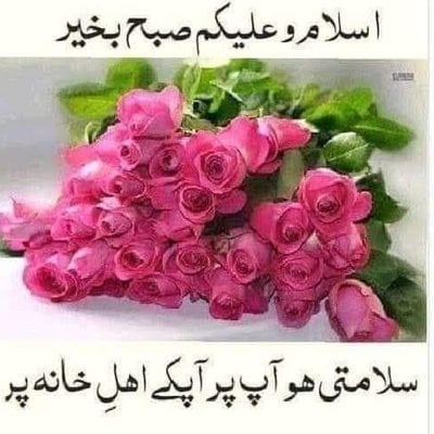 Aziz Alam